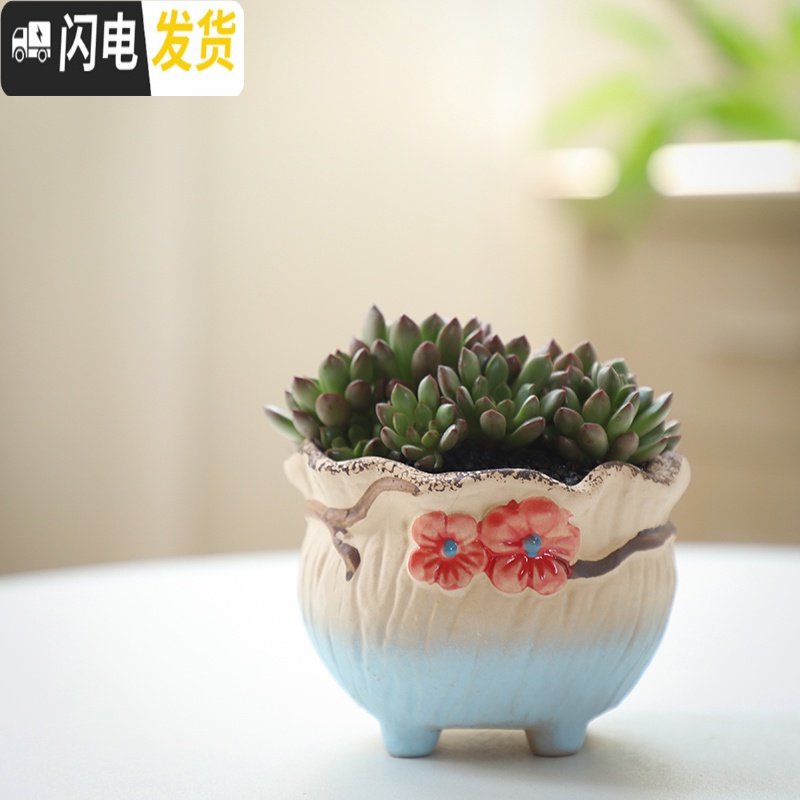 三维工匠可画画上色彩多肉小花盆陶瓷粗陶透气创意肉肉植物盆 西瓜红图片款[2个装] 中等花盆容器高清大图
