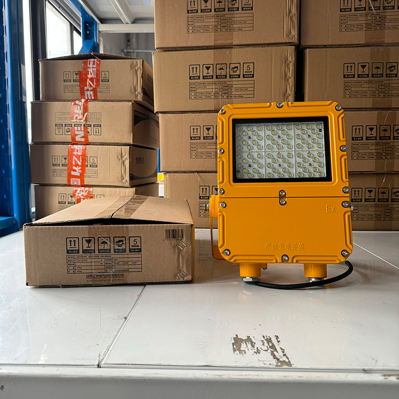 RECEN RFBL162-80W LED防爆投光灯 个高清大图