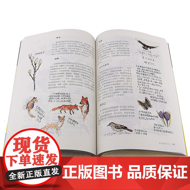 笔记大自然 找寻一种探索周围世界的新途径 本书是梭罗 瓦尔登湖 华东师范大学出版社 科普读物传递大自然的色彩 自然观察笔高清大图
