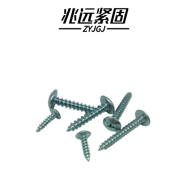 兆远紧固 大扁头自攻螺钉(个)(4*25)高清大图
