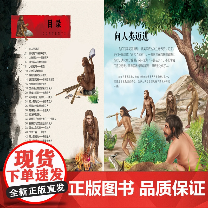 生命简史 穿越地球46亿年 从猿到人 6-12-15岁儿童中小学生青少年科普读物 宇宙起源地球形成生命诞生史前世界探索图高清大图