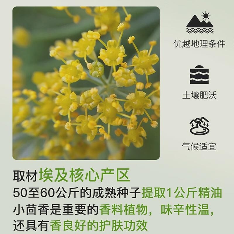 ZRZR小茴香精油10ml面部精油脸部护肤以油养肤紧致身体按摩精油香薰高清大图