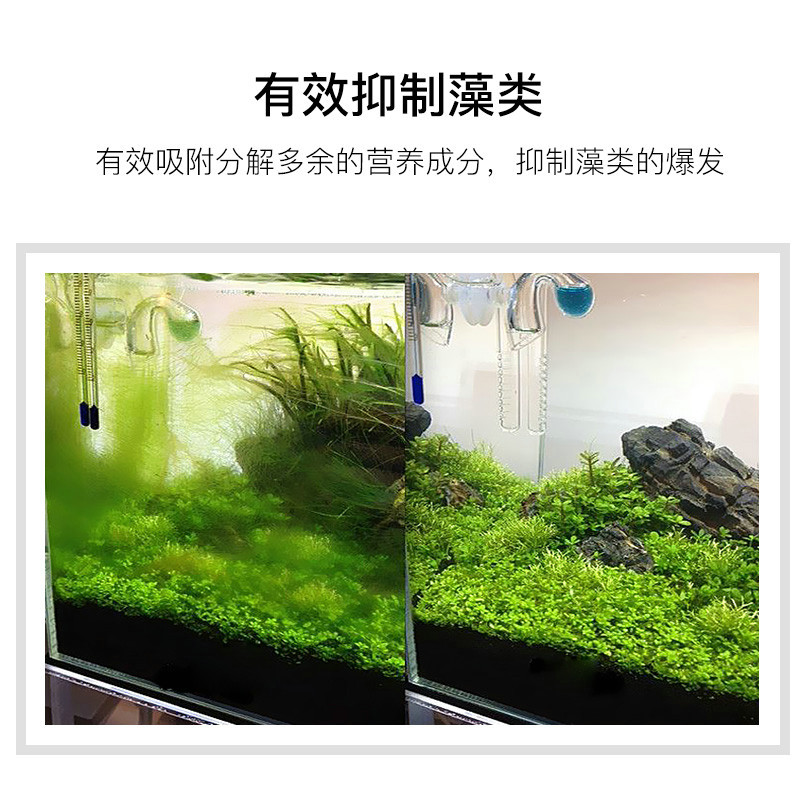 鱼缸污力丸净化水质活性炭蛋白棉净水剂水族去污丸除水臭过滤棉高清大图
