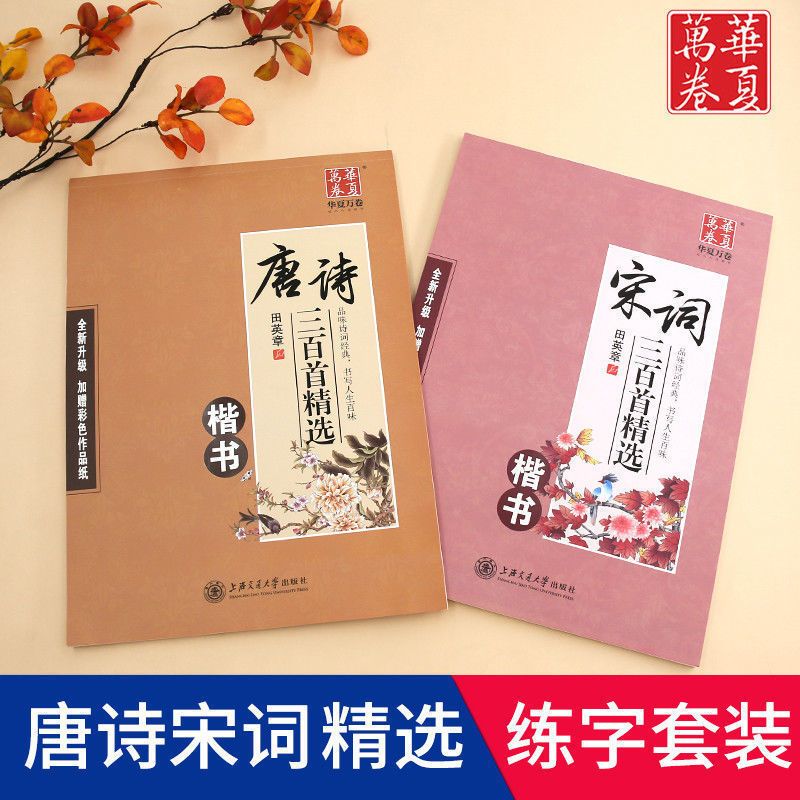 唐诗三百首(楷书) 田英章硬笔楷书练字帖宋词唐诗三百首成人学生钢笔正楷体临摹字帖