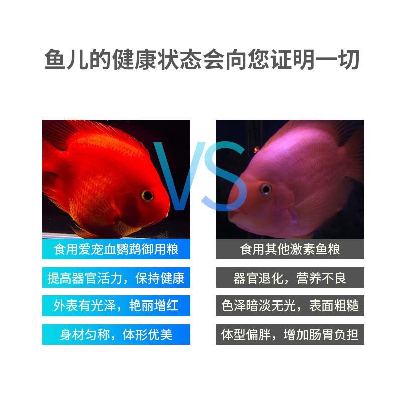 血鹦鹉鱼食专用粮发财鱼增色颗粒鱼粮观赏增红鹦鹉通用热带鱼饲料图片