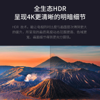 TCL 85X6C 85英寸4K超薄高清 人工智能 语音 平板LED液晶 大屏 电视机85x6c