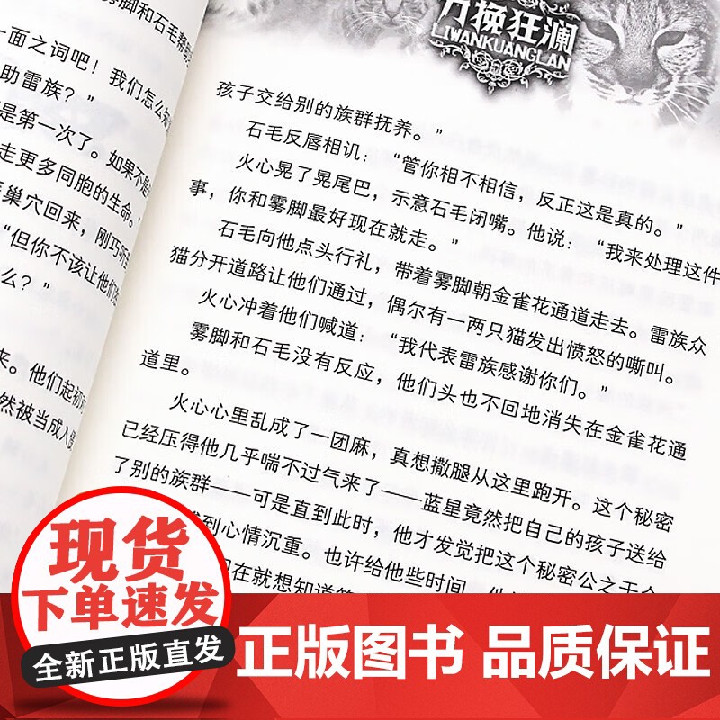 猫武士第一二三四五六七部曲全套42册传奇的猫族奇幻世界儿童奇幻成长中小学生动物小说6-12岁小学生课外阅读书1-2-3-高清大图