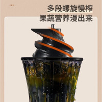 九阳(Joyoung) 榨汁机原汁机家用汁渣分离果汁机多功能鲜榨炸水果炸汁机全自动迷你便携果蔬料理机 LZ198