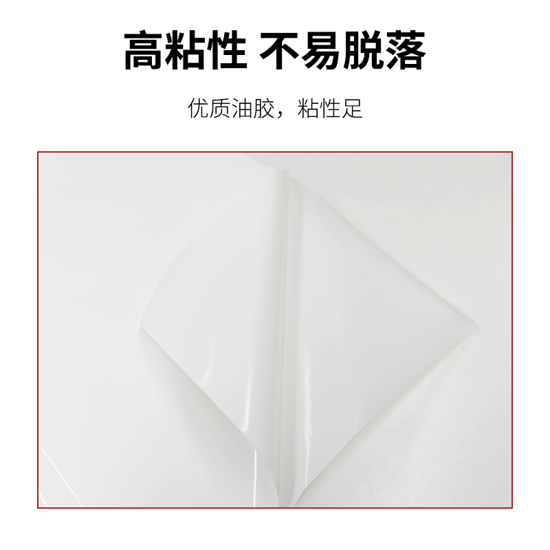 鲁橙 LC022197 A4 PVC标签纸 210*297mm 白色(单位:张)高清大图