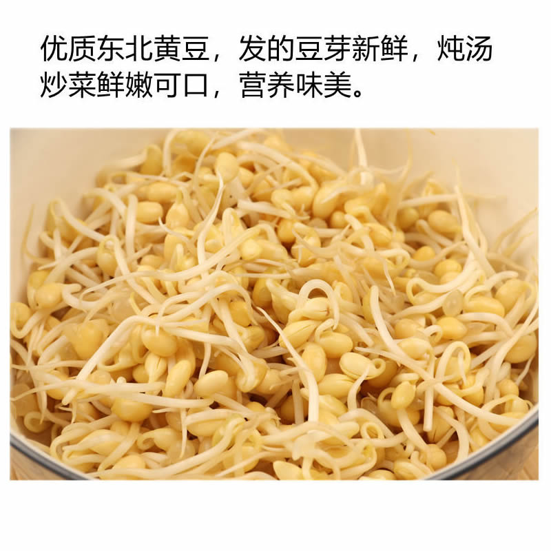 德伟有机黄豆400g 东北新大豆天然优质豆浆豆可发芽非转基因食品