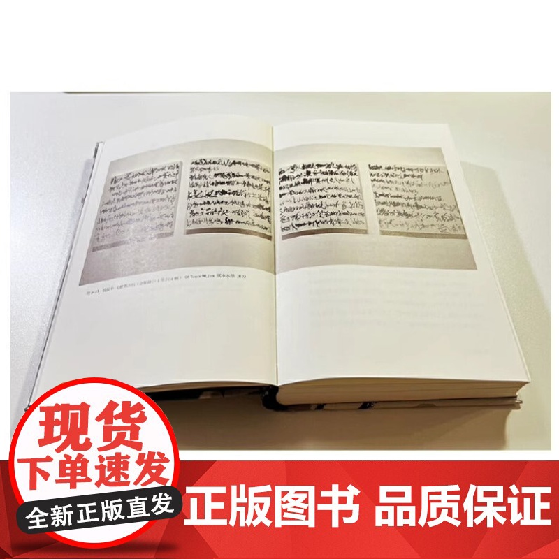书正版] 纯粹·我的书写史(邱振中作品系列)9787559864550 广西师范大学出版社 邱振中 纯粹Pura出品高清大图
