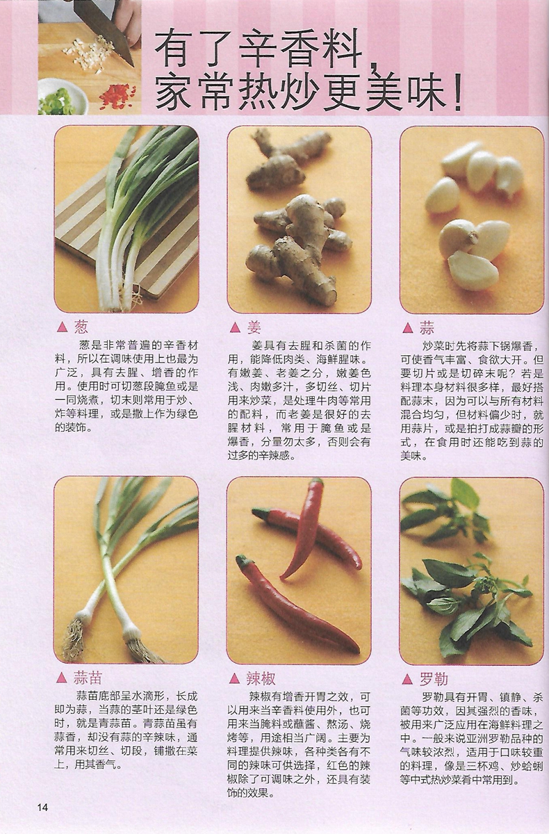 [醉染正版]念念不忘家常菜(经典,下饭,简单家常菜) 好食尚系列 新手学下厨 营养美食家常菜食谱菜谱书籍 烹饪方法家常菜高清大图