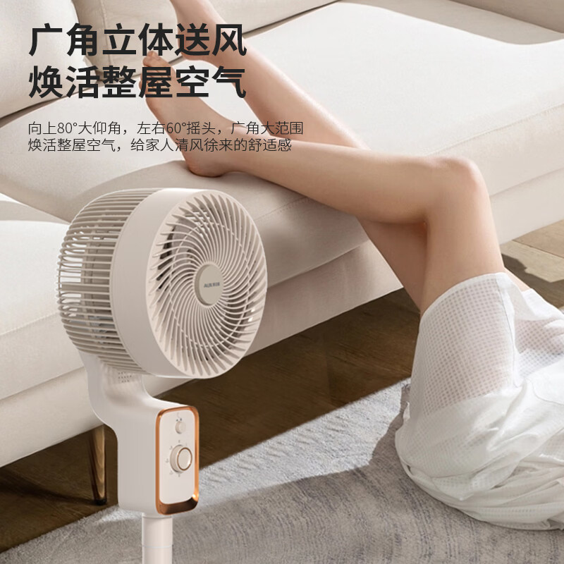 奥克斯空气循环扇家用电风扇AFX-JH-022B高清大图