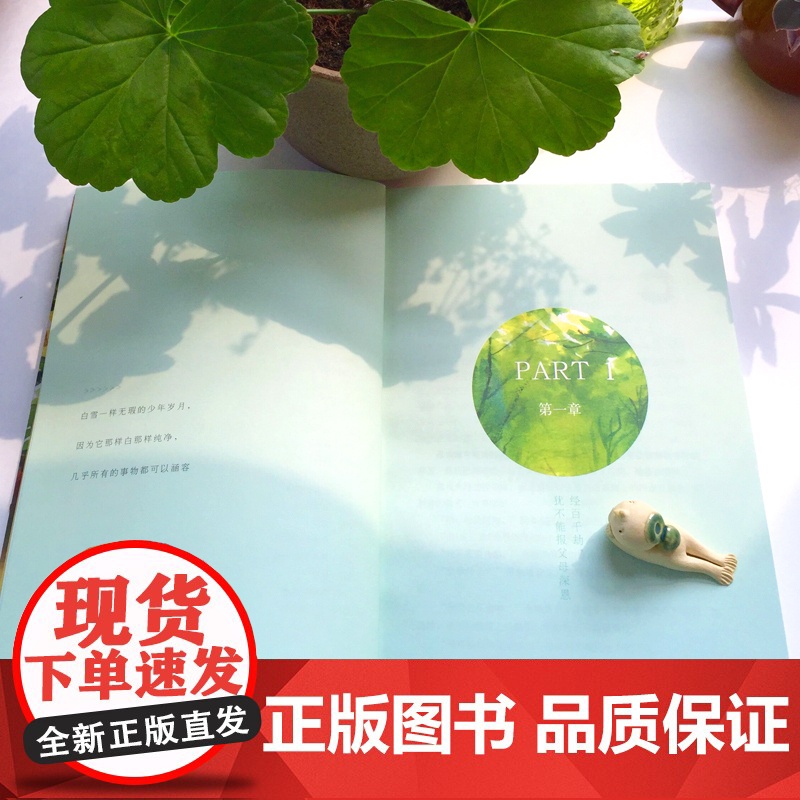 正版 愿你归来仍是少年 全彩插图本 林清玄启悟人生系列 现当代文学散文精选集近代随笔故事 多篇文章入选课本及高考 书高清大图