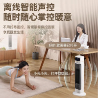 先锋(SINGFUN)石墨烯暖风机取暖器家用PTC陶瓷发热电暖气一秒速热直流电机低噪电暖器DNF-YY2R