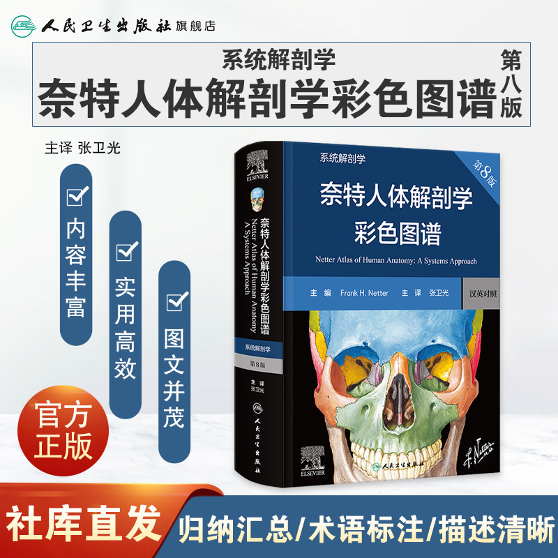 奈特人体解剖学彩色图谱:系统解剖学 [正版]奈特人体解剖学彩色图谱系统解剖学第8版神经肌肉骨骼生理学基础肌动学图鉴列车格高清大图