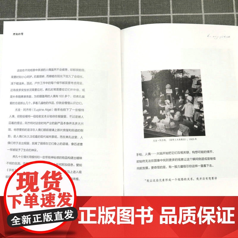 燃烧的雪:走进贝尔纳·弗孔的图像世界 赵欣昕著书籍高清大图