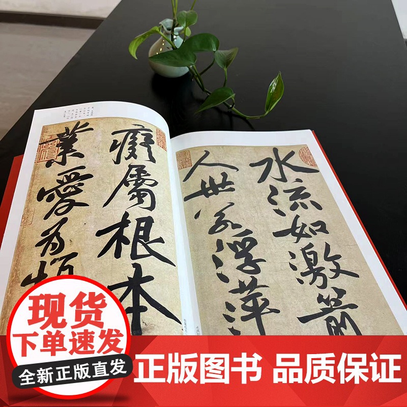 中国碑帖名品·黄庭坚松风阁诗帖 寒山子庞居士诗帖高清大图