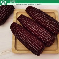 黑糯玉米[180g*6支 ]绿色认证真空包装 非冻半熟玉米棒 代餐早餐健康主食杂粮