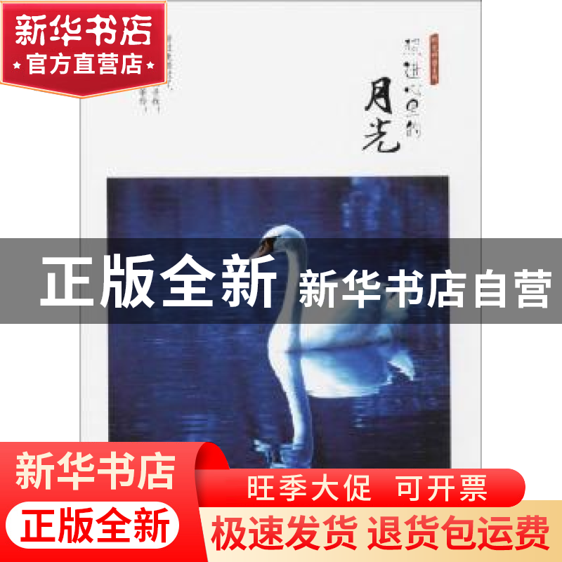 正版 照进心里的月光 付桂秋 天津人民出版社 9787201122540 书籍高清大图