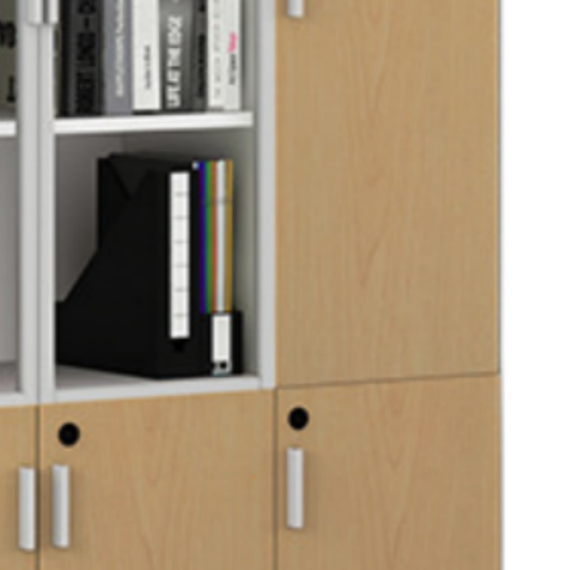 乐琪艺 两门文件柜高清大图