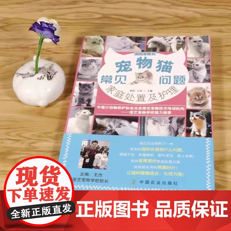 宠物猫常见问题家庭处置及护理 我的宠物书 猫咪养护入门 养猫指南 猫奴进阶 猫咪健康护理 猫咪行为心理分析 专业的养猫参高清大图