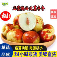 鲜市味 陕西大荔冬枣清脆爽口皮薄无渣新鲜当季水果脆枣箱装