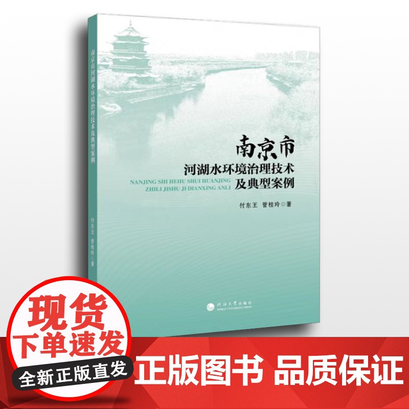 南京市河湖水环境治理技术及典型案例高清大图