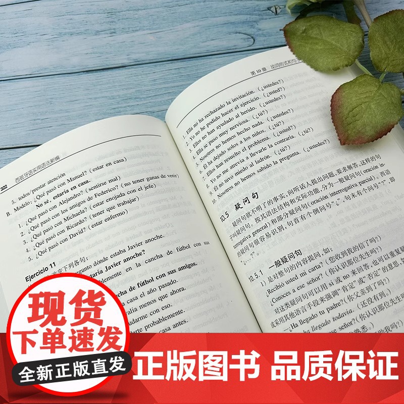 正版 西班牙语实用语法新编 增补本 孙义桢编 现代西班牙语语法入门 西班牙语法新编西班牙语法 上海外语教育出版社高清大图