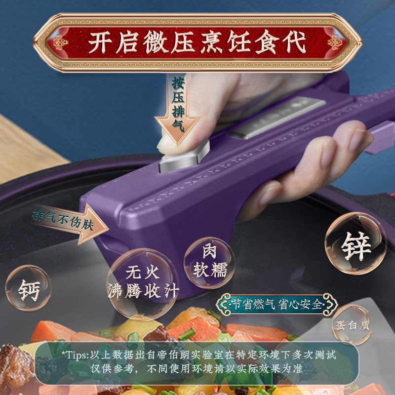 帝伯朗(TIBORANG)菲尼雅浮雕多用锅DBL-FNY01高清大图