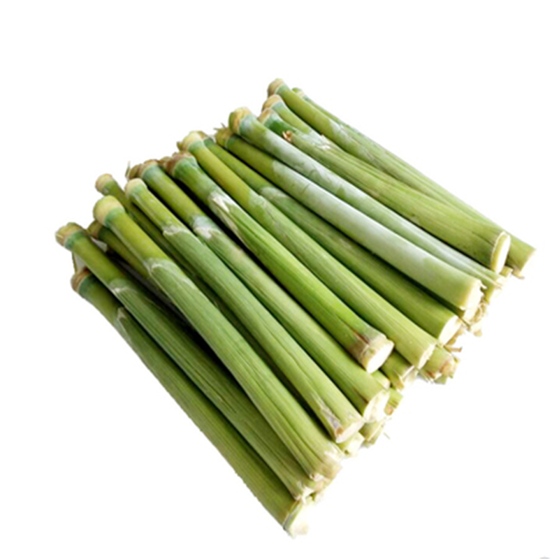 高糖甜杆甘蔗北方杆蔗芦笋种子甜甘蔗种子特甜水多蔬菜水瓜果种籽