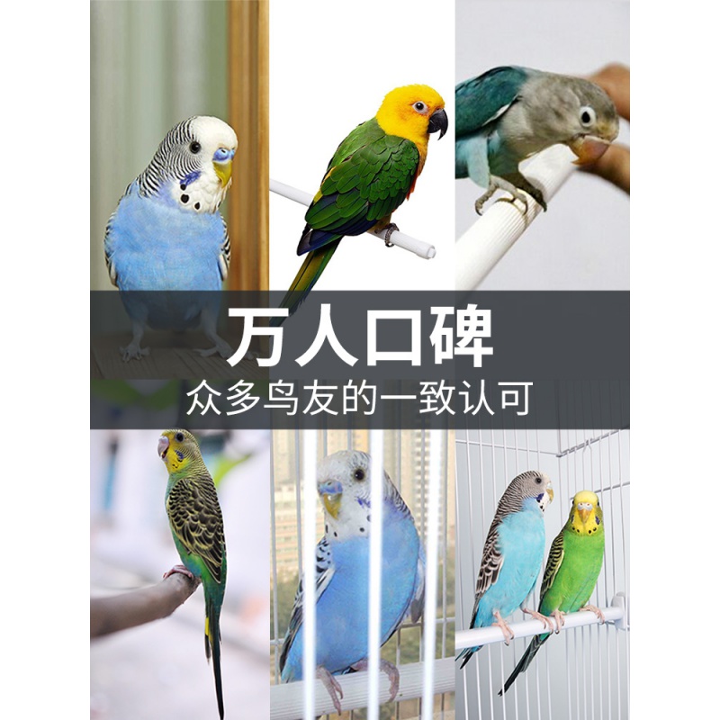 鸟笼虎皮鹦鹉八哥玄凤专用金属笼子大号小号家用鸽子繁殖笼养殖笼高清大图