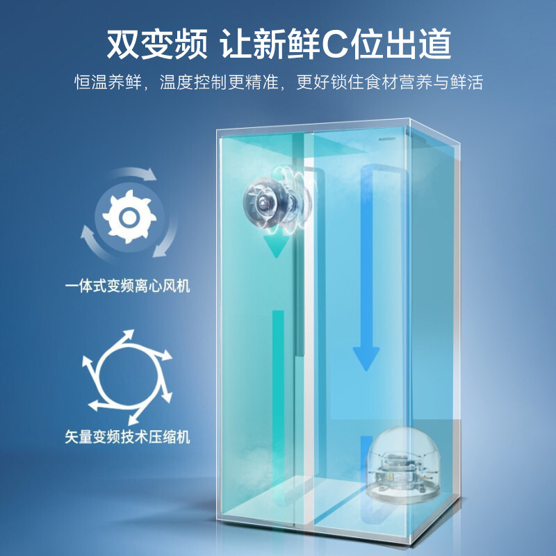 容声(Ronshen)532升对开门 双门家用电冰箱 深冷储鲜纤薄嵌入 长效除菌净味BCD-532WD11HP