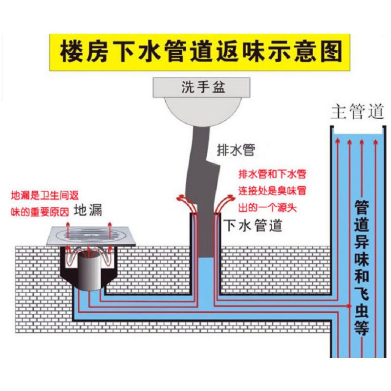 固本(ROOTSWELL) 面盆S弯 洗脸盆不锈钢下水管S弯防臭下水管