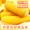 希礼盛内蒙古巴彦淖尔黄糯玉米8根(单根:长度14-15CM ,约2.2kg)彩箱
