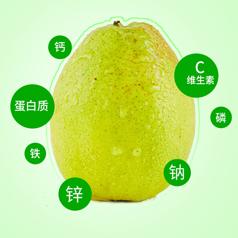 卜任舒 牛油果约2.5kg(包装随机发货)高清大图