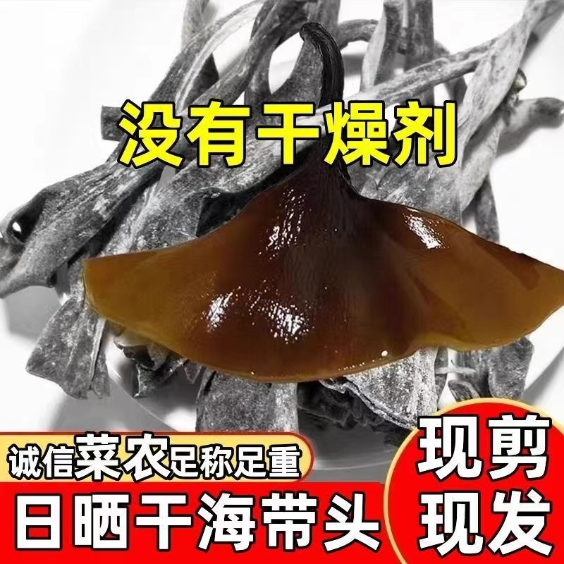 福建霞浦[新货]海带头干货厚实软糯海带根特厚海带梗高清大图