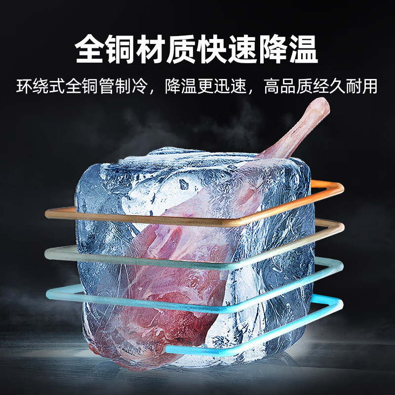 星星 KD-1271GT4 商用对开门冰箱 915升大容量不锈钢拉丝顶置压缩机独立式设计高清大图