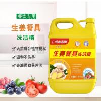 (浦北活动线下订单专用,线上不发货)杜鹃花系列洗洁精