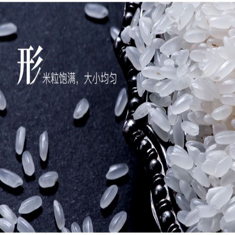 探禾 五常大米 5千克*高清大图