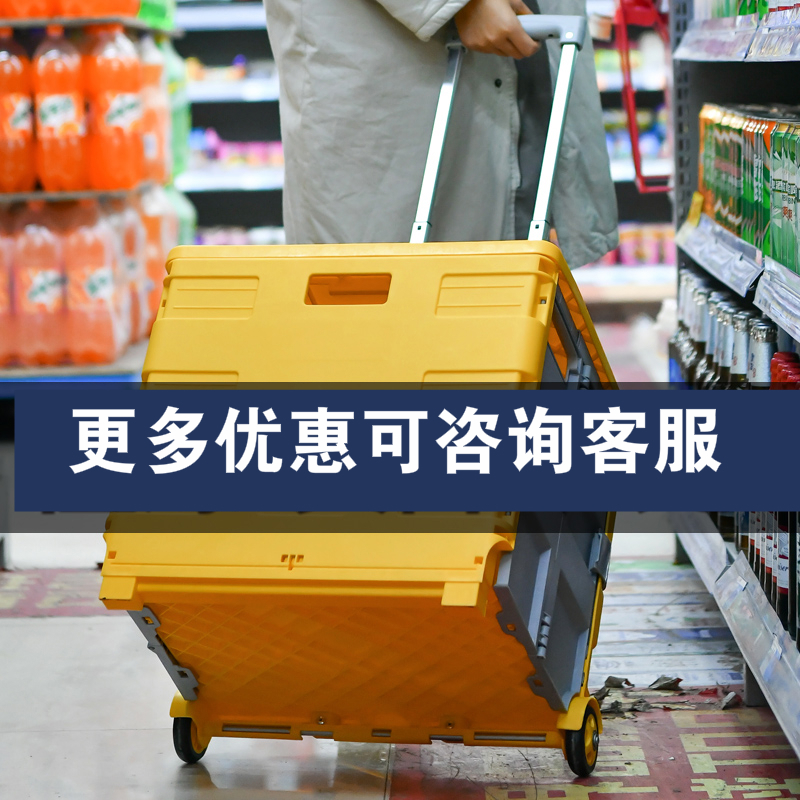 折叠购物车阿斯卡利(ASCARI)家用便携手拖车摆摊推车野餐轻便超市买菜车小拉车 两轮中号50L薄荷绿--无盖
