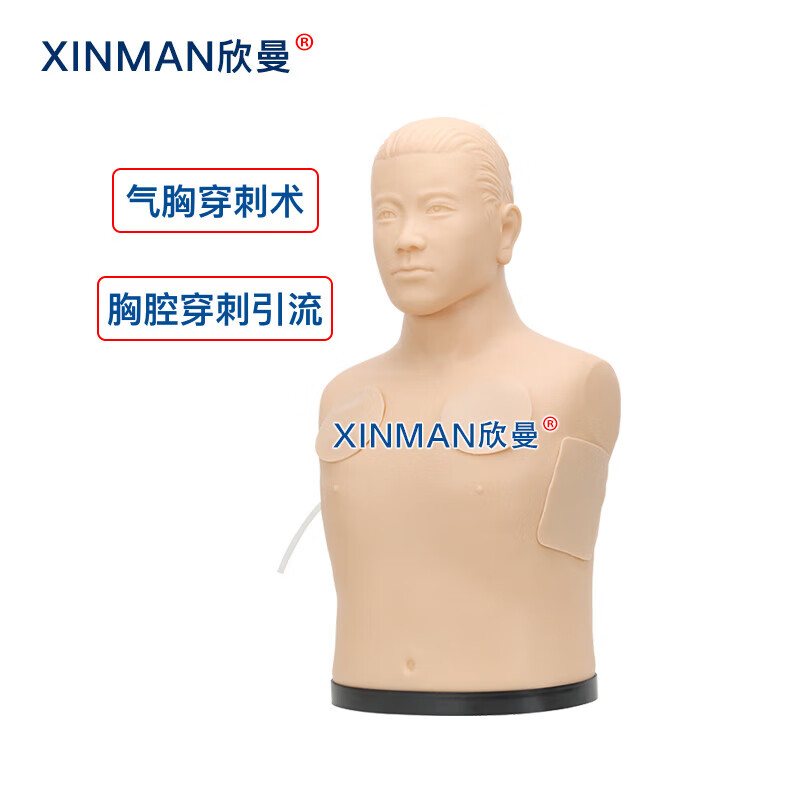 欣曼科教 胸腔穿刺引流模型 胸腔穿刺模拟训练模块XM-2021高清大图