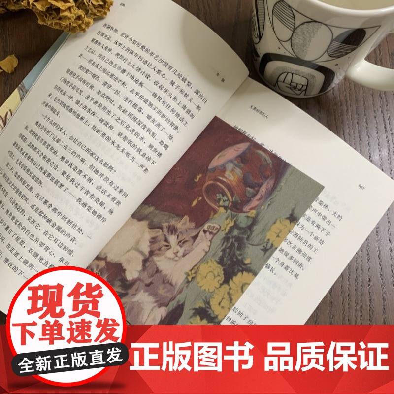 女猫 人民文学奖得主盛可以 全新短篇小说集 10种绝境中的人生故事仿佛10张捕捉情感危机的快照 看似安静 实则如火山般高清大图