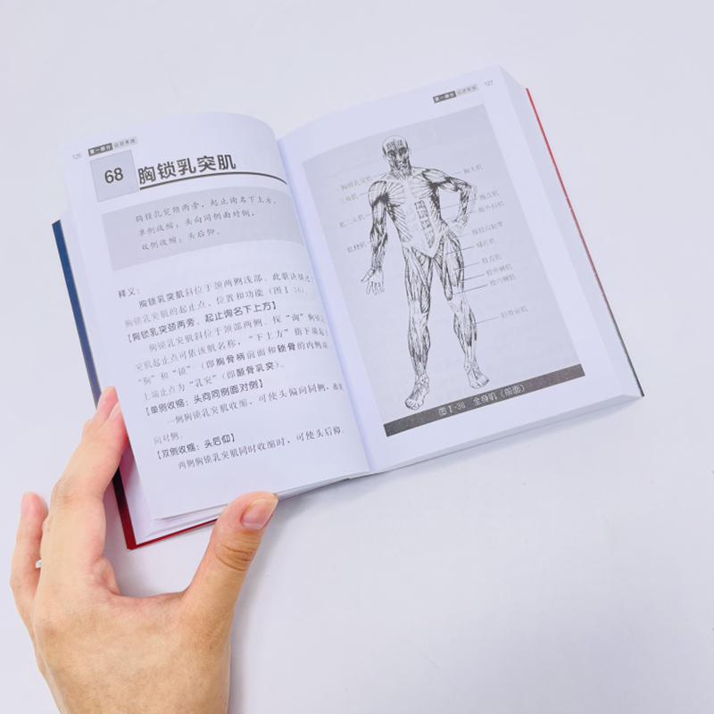 [醉染正版]正版 人体解剖学实用歌诀 第五5版 人体解剖学基础知识记忆难点分析书籍 人体穴位分布图谱 人体器官解剖临床医高清大图