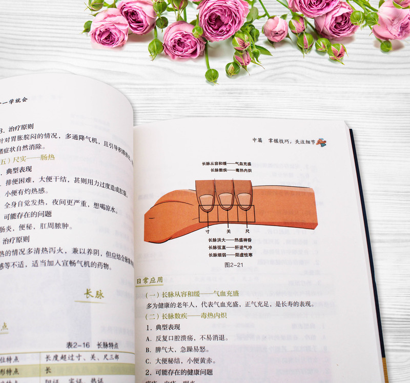 [正版]脉诊一学就会 彩色图解中医脉诊秘诀脉学一通百通书 中医基础理论诊断学入门自学教程 常见病诊断与用药中草药材抓配高清大图