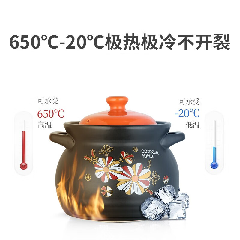 炊大皇 陶瓷煲(5L) TCXW5002高清大图