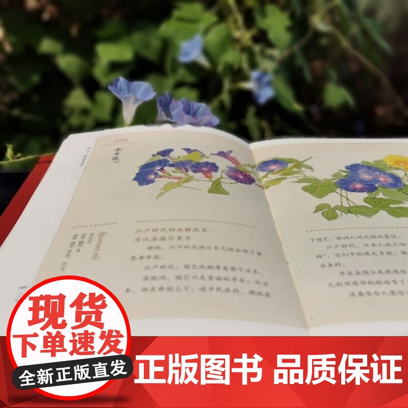 四时花草逐时新 一百零五种花语及故事 稻垣荣洋 著 文化高清大图