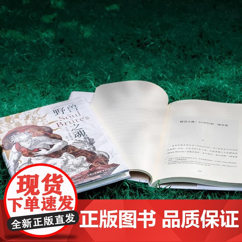 野兽之魂 意卡洛金兹伯格东方出版中心高清大图