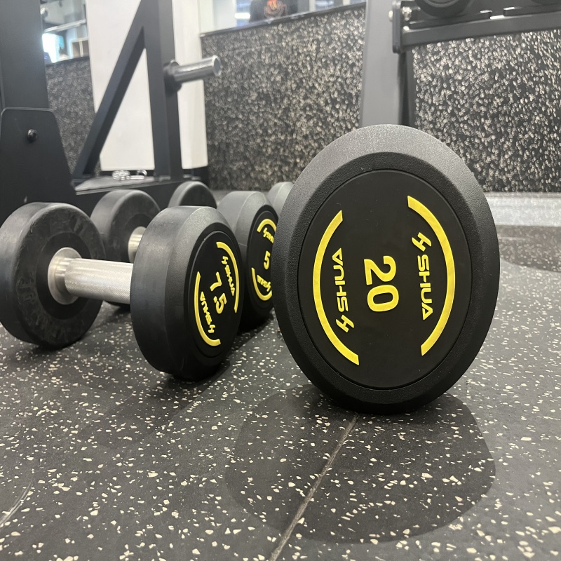 哑铃R390-12.5KG高清大图