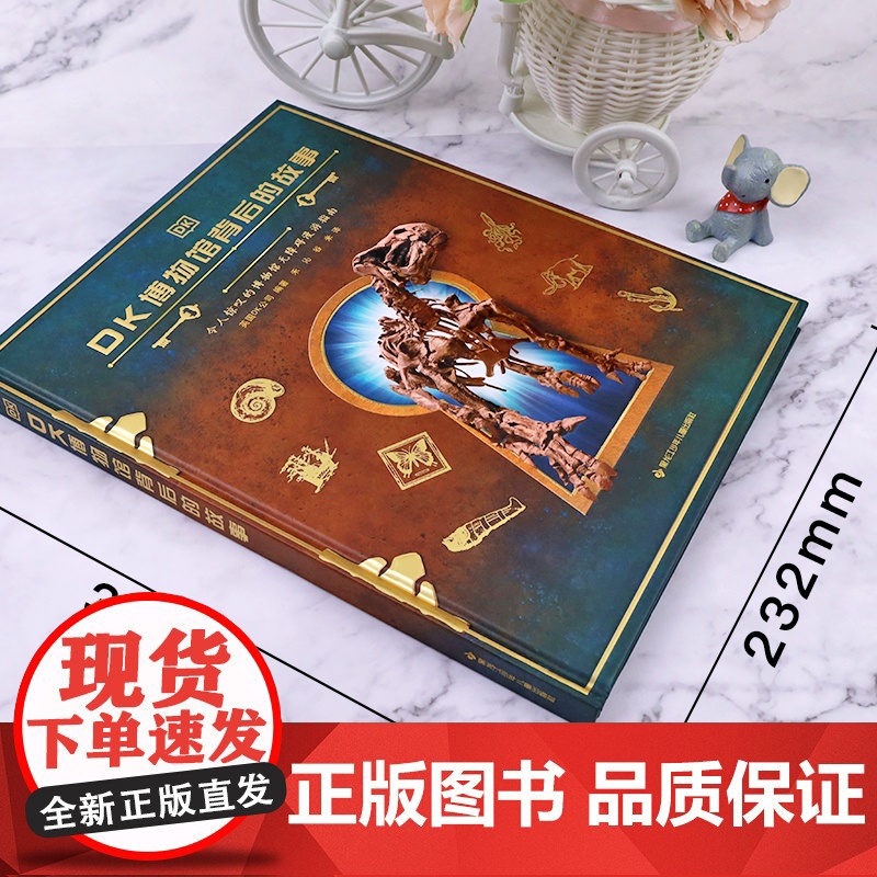 正版DK博物馆背后的故事6-7-8-9-12岁小学生课外阅读书籍科普百科少儿科普课外书历史探秘儿童百科全书考古挖掘玩具书高清大图
